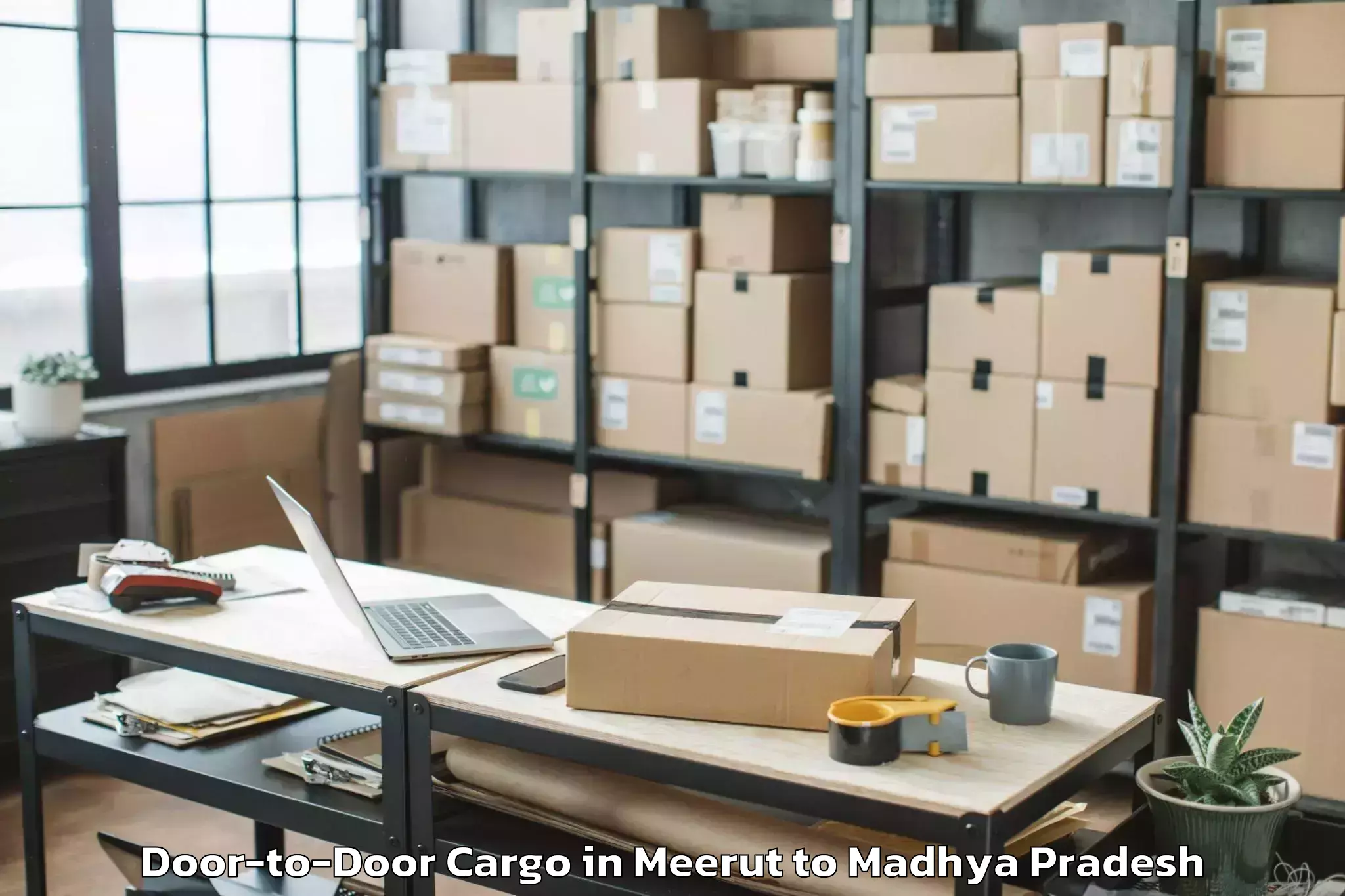 Book Meerut to Narwar Door To Door Cargo